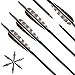 Narchery Carbon Hunting Arrows, 31 Inch Bow and Arrows with Removeable Tips, 350 Spine Practice Arrows for Recurve Bow, Compound Bow, Long Bow (12 Pcs)