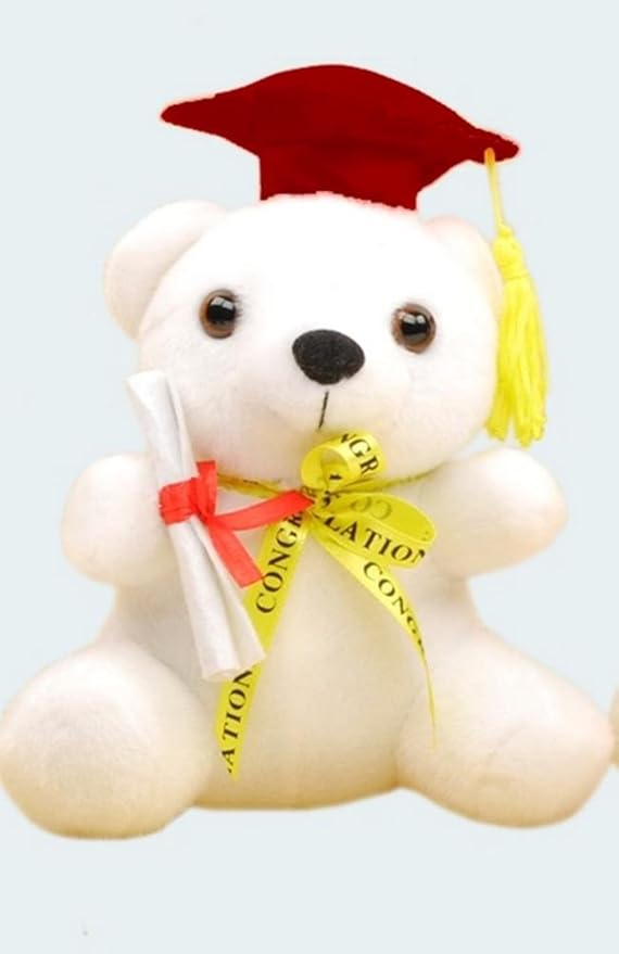 graduation teddy bear clintons