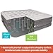 Raised King Air Mattress by Fox Air Beds - Plush High Rise Inflatable Airbed