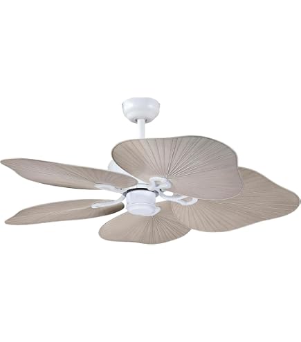 Amazon.com: Gulf Coast Fans 26