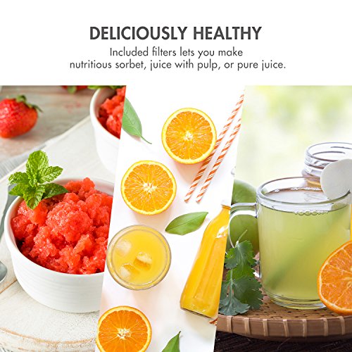 Tenergy Masticating Juicer, Anti-Oxidation Slow Speed Cold Press Juicer, High Nutrient Fresh Vegetable and Fruit Juice Extractor, Easy to Clean Juicer with Jug and Brush