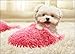 Puppy in Slipper Funny Dog Mother's Day Card