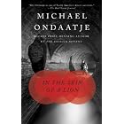 In the Skin of a Lion (Vintage International)