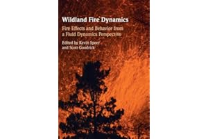 Wildland Fire Dynamics