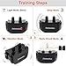 Petronics Rechargeable Shock Training Collar with Remote, Electronic for Large Dog with Static, Vibration, Beep and Light, 330 yd.