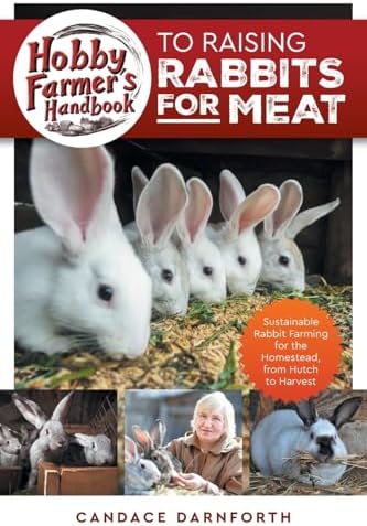 Rabbits (Blastoff! Readers: Backyard Wildlife): Derek Zobel