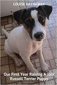 hathaways dog show supplies