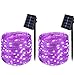 Beautiful purple solar fairy lights!