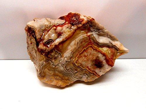 Rock Tumbler Gem Refill Kit Mexican Crazy Lace Agate Rough 8oz