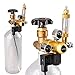 Aquarium CO2 Regulator with Solenoid 110V-Mini Dual Gauge Display Bubble Counter,Check Valve Fits Standard US Tanks-Accurate and Easy to Adjust (HP2000PSI,LP150PSI) Flow Meter
