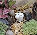 BeautyMood Miniature Fairy Garden Herd of Sheeps, Set of 6