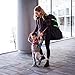 Car Seat Travel Bag - Travel Easier/Save Money - Car Seat Bags for Air Travel by Oowap - Carseat Travel Bags and Durable Airport Gate Check Bag for Car Seats & Booster Seats