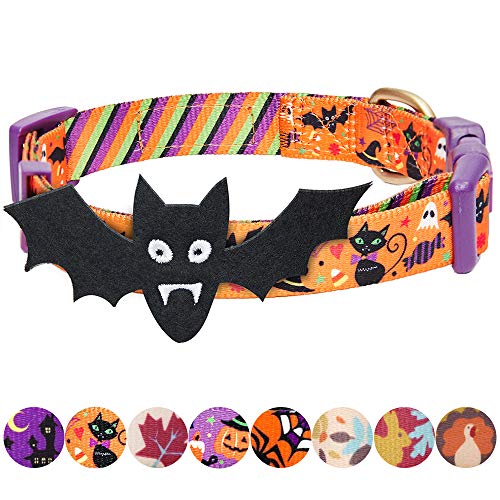 Blueberry Pet 2019 New 8 Patterns Halloween Night Bats Designer Adjustable Dog Collar with Detachable Decoration, Medium, Neck 14.5″-20″