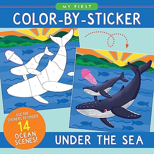 Underwater Guide to the Red Sea: Wood, Lawson: 9781909612846