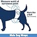 ValueWrap Male Wraps, Disposable Dog Diapers, 1-Tab Small, 72 Count - Snag-Free Fastener, Leak Protection, Wetness Indicator