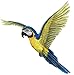 Walls of the Wild Tropical Bird Wall Decals Combo Pack Toucan Wall Sticker (14 in. x 12 in.) and Macaw Wall Sticker (16 in. x 17 in.)