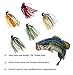 THKFISH Bass Tungsten Jig, Swim Jigs for Bass Fishing, Swimming Fishing Jigs, Finesse Boo Jig Bass Fishing Lure with Weed Guard, Weedless Jig Head Design Multi-Color Pack of 5