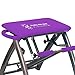 Life's A Beach Purple Pilates Pro Exercise Workout Fitness Chair with 4 DVDs