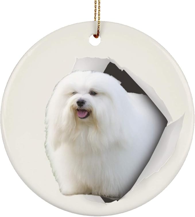 Lovesout Funny Coton De Tulear White Cream Go Though Hole