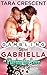 Gambling with Gabriella (Menage MfM Romance Novel) (Playing For Love Book 2)