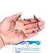 Halloween Bat Cookie Cutter, Premium Food Grade Stainless Steel, Dishwasher Safe