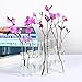 Ivolador 8 Crystal Glass Test Tube Vase Flower Pots for Hydroponic Plants Home Garden Decoration