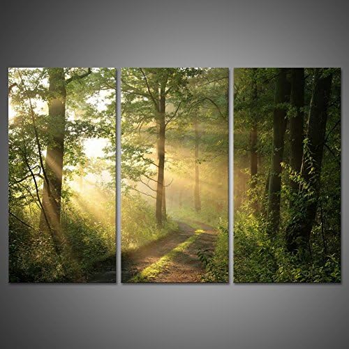 Deciduous Morning Spring Green Tree Leaves Foggy Forest Pathway Sunrise Art Print Poster Home Wall Decor Modern Canvas Painting Picture Beautiful Scene Sunshine Landscape Giclee Artwork by uLinked Art