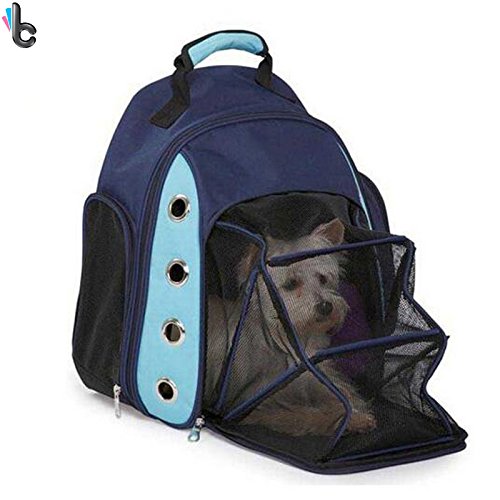 dog backpack 20 lbs