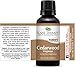 Plant Therapy Cedarwood Virginian Essential Oil 30 Ml (1 Oz) 100% Pure, Undiluted, Therapeutic Grade