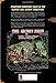 The Secret Files of Dr. Drew (Mr. Monsters Presents)