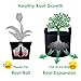 Grow Bags with Handles | 5-Pack 7 Gallon Garden Bags – Perfect Smart Aeration Non-woven Fabric Pots for Growing Healthy Plants: Potatoes, Tomatoes, Onions, Strawberries and Other Vegetables and Fruitsthumb 4