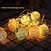 Plastic LED Easter Lights Monoche 10 LED Multicolor Light 1.5M Easter Eggs Fairy Light String for Easter Thanksgiving Party Decoration Wedding Tree Decorationthumb 4