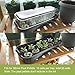 Seed Starting Kit for 36mm Peat Pellets – 5-Pack Mini Sturdy Windowsill Greenhouse Trays with Cover Dome, with Instructions, Indoor/Outdoor Gardening, Grow Herbs, Flowers and Vegetables – Blackthumb 1