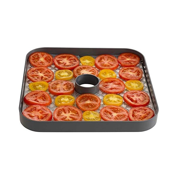 Excalibur-ECB50B-5-Tray-Stackable-Food-Dehydrator-Beef-Jerky-Machine-Snack-Fruit-Dryer-Vegetable