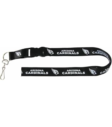 Oakland Raiders Carabiner Keychain With Bottle Opener - NFL Licensed Team Pride Accessory - View #10