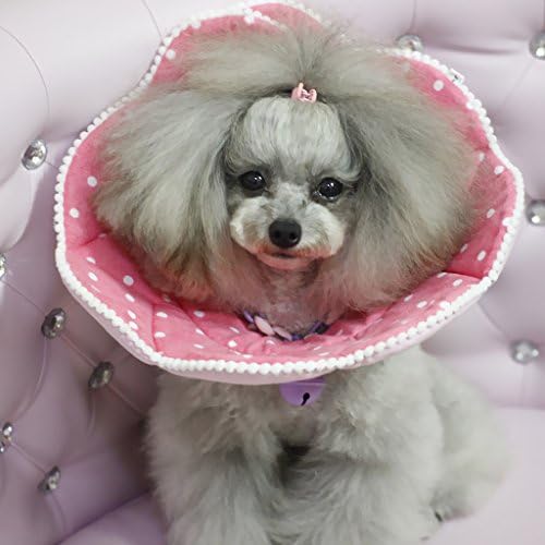 Sharplace Chien Et Chat Collerette Forme Cone Fleur En Tissu Pour Protection Cicatrisation Rose Xl Amazon Fr Animalerie