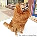 Lion Mane for Dog,Neckerchief, Pet Festival Halloween Party Fancy Lion Hair Dog Clothes Dress with Ears(Neck perimeter 35.1in, Adjustable,Light Brown )