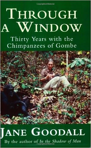Through A Window Thirty Years With The Chimpanzees Of Gombe Goodall Jane 9780753810217 Amazon Com Books
