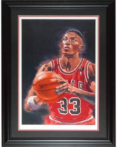 scottie pippen autographed basketball