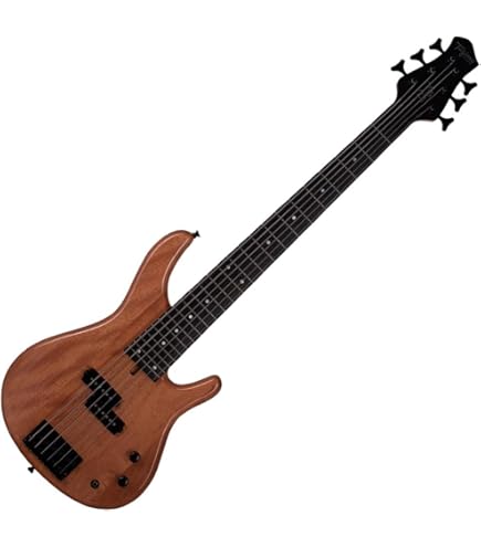 Ibanez Guitarra de 4 cordas, direita, raiz cerveja metálica