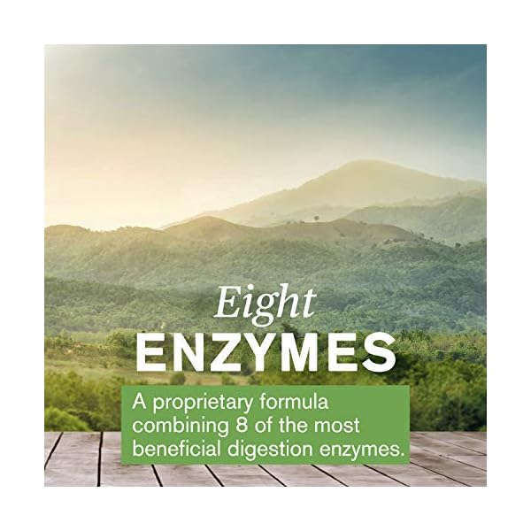 Nature’s Sunshine Food Enzymes, 120 Capsules Digestive Enzymes with