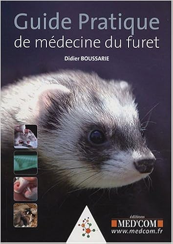 site de rencontre furet