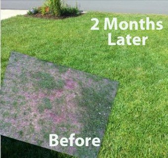 Outsidepride LazyMan Soil Doctor Liquid Lawn Fertilizer, Aerator, Dethatcher, Soil Conditioner - 2 1/2 Gallon
