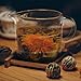 Glass Teapot with Tea Infuser - Stovetop Safe Clear Glass Teapot with Removable Strainer - Perfect for Blooming Tea, Loose Leaf and Other Herbal Teas