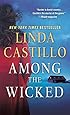 Among the Wicked: A Kate Burkholder Novel