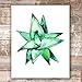 Succulent Wall Art Prints (Set of 4) - Unframed - 8x10s | Botanical Prints | Flower Wall Décor | Kitchen Wall Décor | Vintage Wall Décor | Botanical Wall Art | Aesthetic Wall Décor | Floral Wall Art