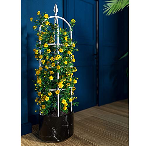 CJSWT 180cm Garten Obelisken Trellis, Rankhilfe Rankgerüst Kletterpflanzen, Trellis Unterstützung Metallrahmen, Outdoor… – Bild 6