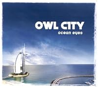 Owl City Ablum Cover