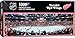 MasterPieces 1000 Piece Sports Jigsaw Puzzle - NHL Detroit Red Wings Center View Panoramic - 13