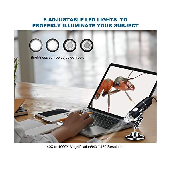 USB-Digitalmikroskop 40X bis 1000X Achort 8 LED-Vergrößerungs-Endoskopkamera mit Metallständer kompatibel für Android… – Bild 6